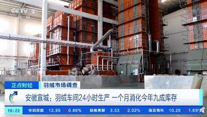 羽絨價(jià)格漲超六成 羽絨車間1個(gè)月消化今年九成庫(kù)存