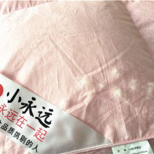 淮安市淮安區(qū)鑫豐羽絨制品廠(chǎng)