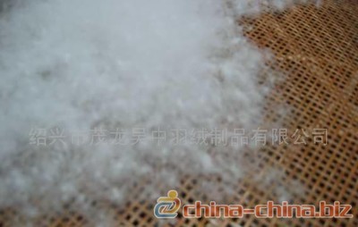 供應白鵝絨(圖) - 中國制造交易網(wǎng)