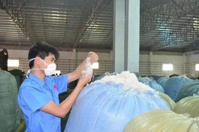 吳川市精準(zhǔn)服務(wù)上市后備的羽絨企業(yè)